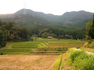 半田地区の棚田