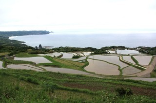 東後畑の棚田