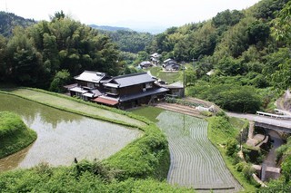 日向平地区の棚田