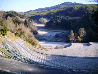 日向平地区の棚田