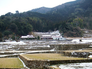 久兼上地区の棚田