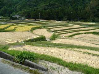 久兼上地区の棚田