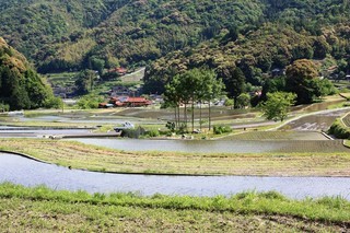 久兼上地区の棚田