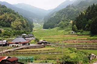 本谷地区の棚田