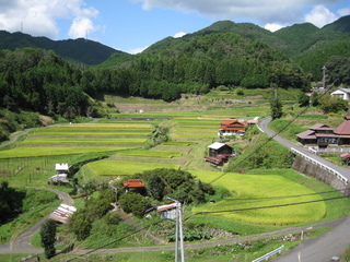 本谷地区の棚田