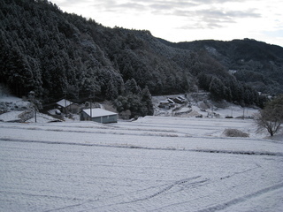 本谷（茅原）地区の棚田