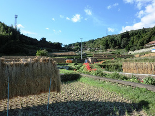 井谷地区の棚田