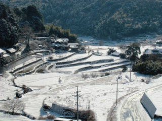 井谷地区の棚田