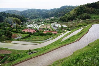 井谷地区の棚田