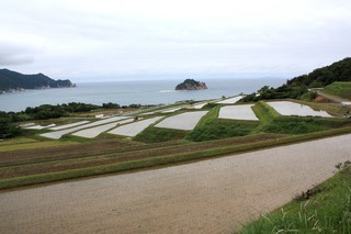 木与地区の棚田