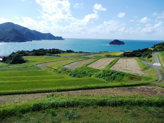 木与地区の棚田