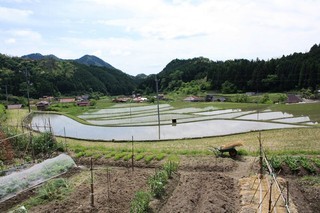 串地区の棚田