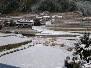 串地区の棚田