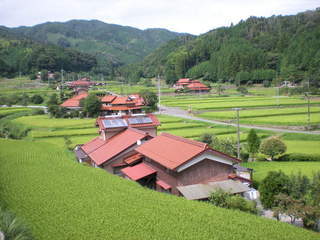 串地区の棚田