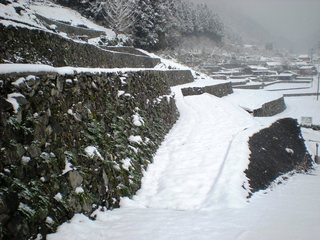 三谷地区の棚田