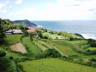 中ノ森地区の棚田