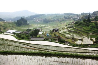 中須北地区の棚田