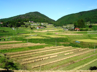 中須北地区の棚田