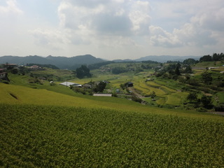 中須北地区の棚田