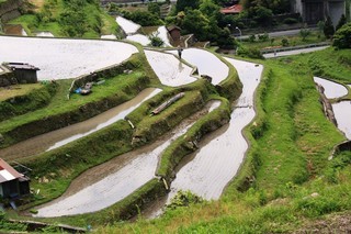 小畑地区の棚田