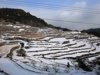 小畑地区の棚田