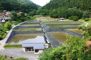 大道理鹿野地地区の棚田