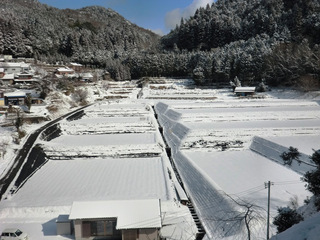 大道理鹿野地地区の棚田