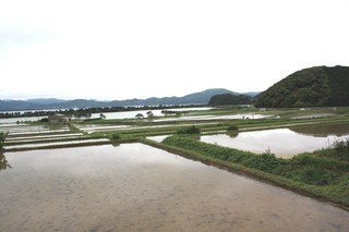 青海地区の棚田