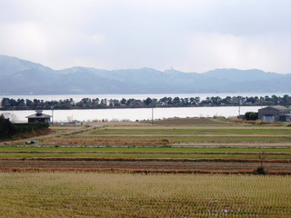 青海地区の棚田