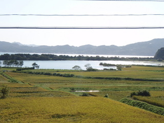 青海地区の棚田