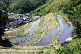 四郎谷地区の棚田