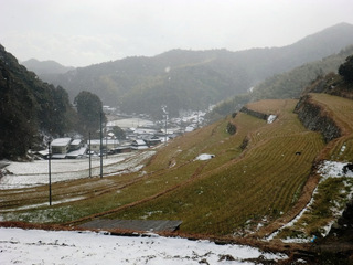 四郎谷地区の棚田