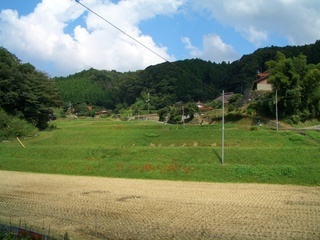 豊田前一区地区の棚田