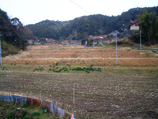 豊田前一区地区の棚田