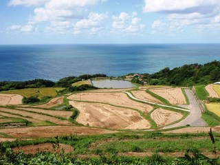 東後畑の棚田