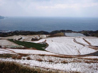 東後畑の棚田