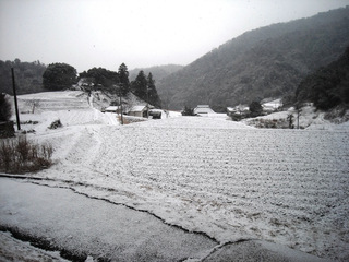 吉敷畑の棚田