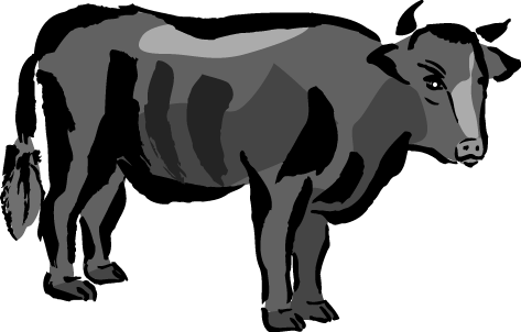 牛の画像