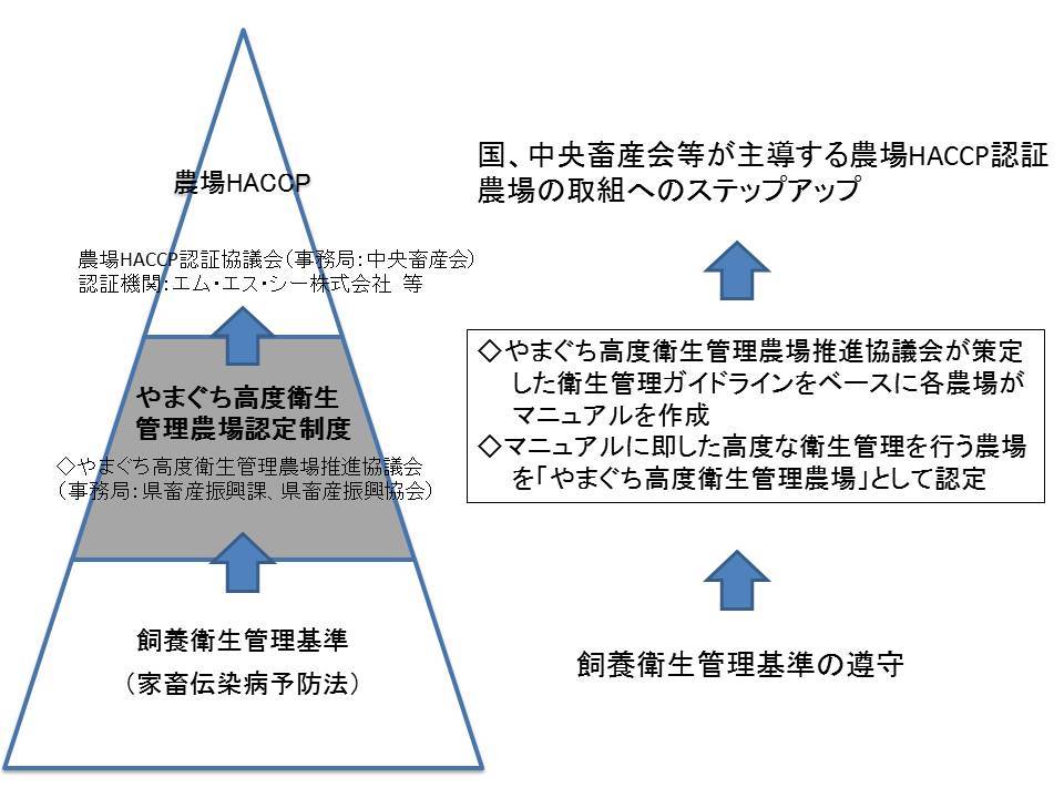 取組のイメージ