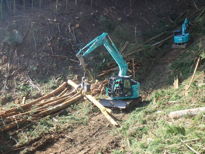 写真１主伐―再造林実践