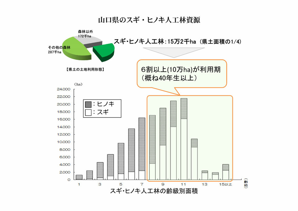 スギ・ヒノキ人工林資源