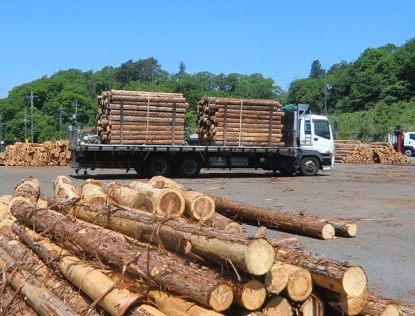 原木の運搬