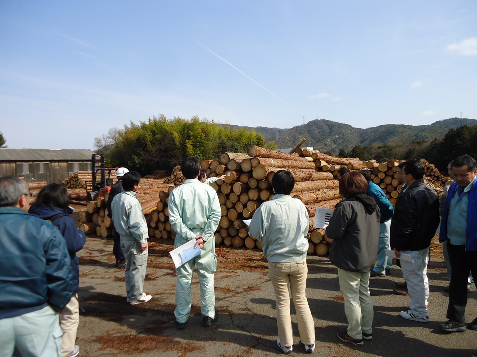 土場見学の画像