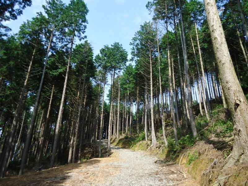 森林経営計画制度の画像2