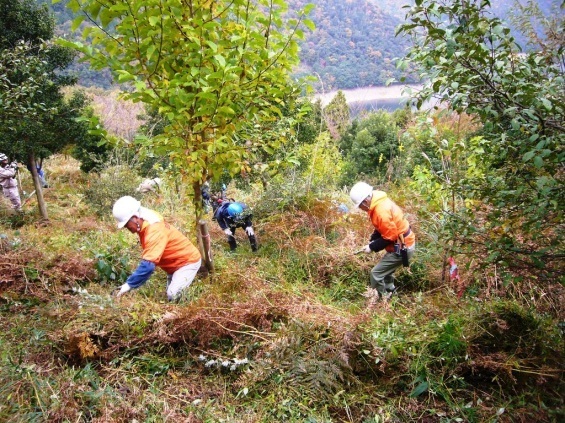 森林環境ボランティアリーダー養成事業
