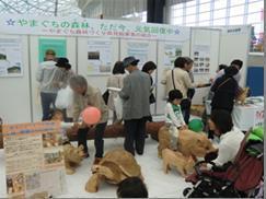 県民参加の森林づくり推進事業の画像