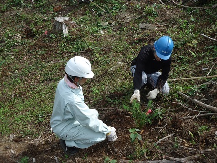 阿武萩森林組合職員の指導のもと植栽作業を体験の画像