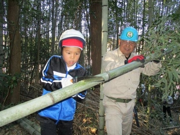 竹林整備の画像