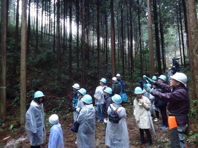 田邊林業士の山林を見学の画像
