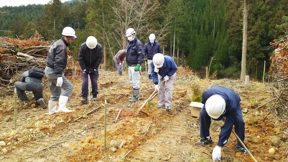 ヒノキコンテナ苗の植栽実習の画像